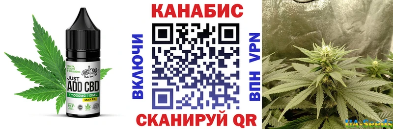 кракен маркетплейс  нарко площадка формула  Canna-Cookies марихуана  Киржач 