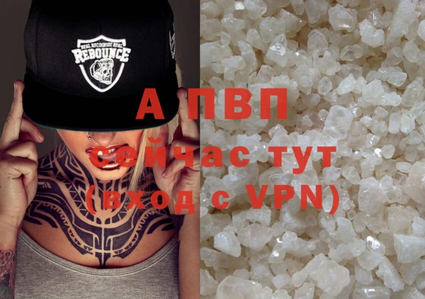 индика Бугульма