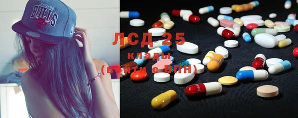 прущие крисы Бородино