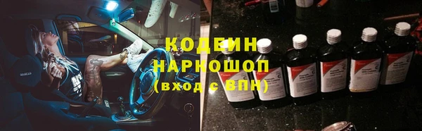 индика Бугульма