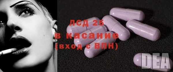 прущие крисы Бородино