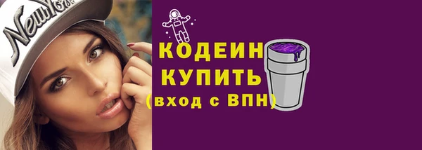 прущие крисы Бородино