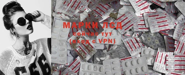 ГАЛЛЮЦИНОГЕННЫЕ ГРИБЫ Сосновоборск