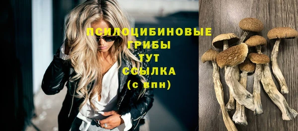 прущие крисы Бородино