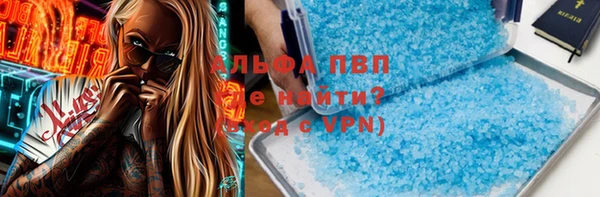 прущие крисы Бородино